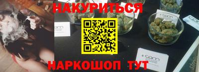 гидра Будённовск