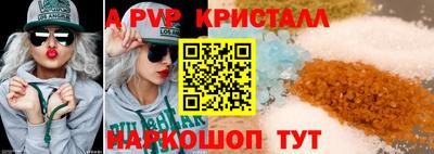 гидра Будённовск