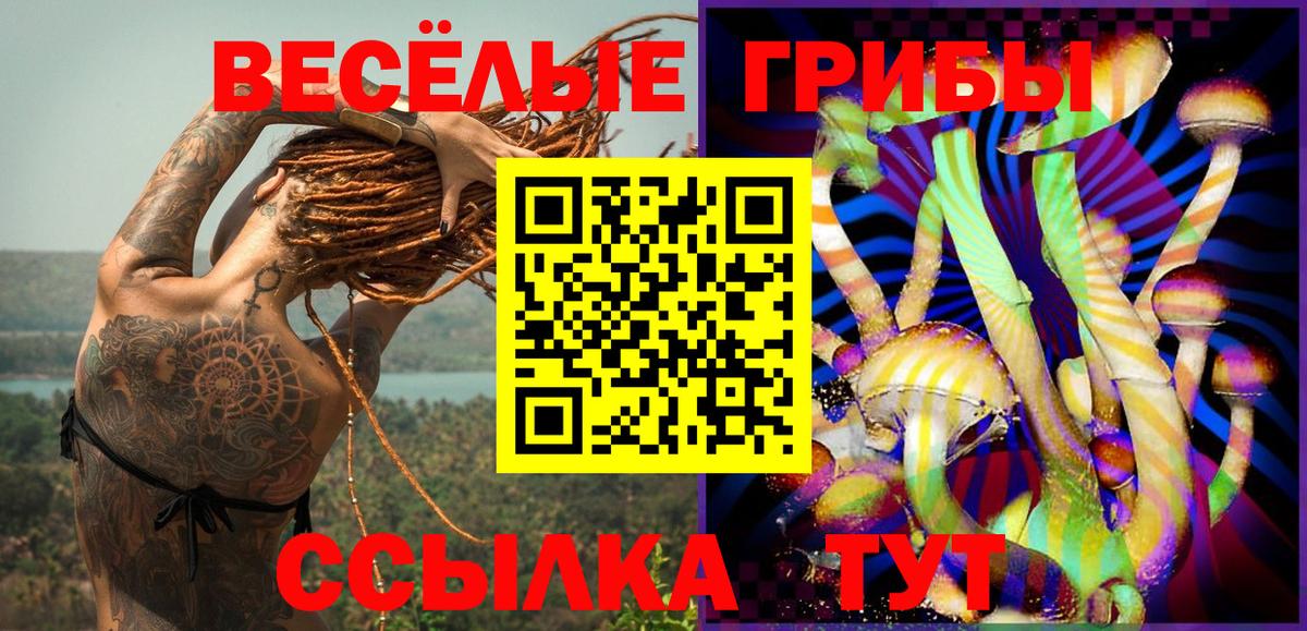 Галлюциногенные грибы мухоморы Саяногорск