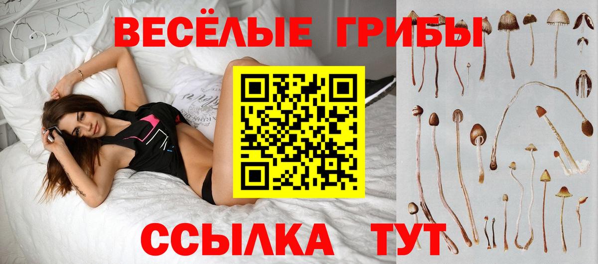Саяногорск  Псилоцибиновые грибы ЛСД  Галлюциногенные грибы Cubensis  Вход с VPN 
